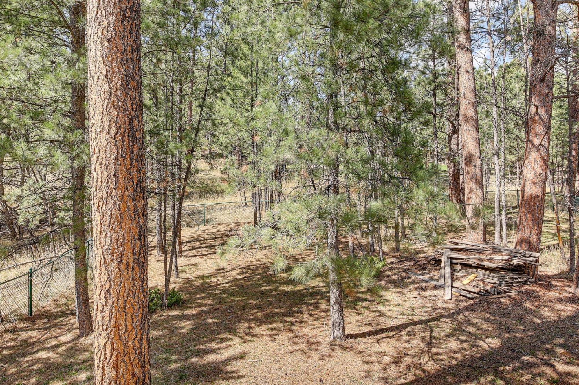Private Black Hills Home With Corral Horses Welcome Custer Luaran gambar